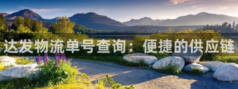 ,优游国际官网预测：达发物流单号查询