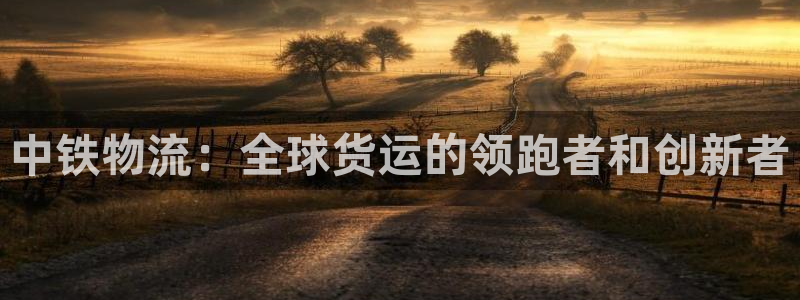 ,优游国际分分压单双技巧：中铁物流：