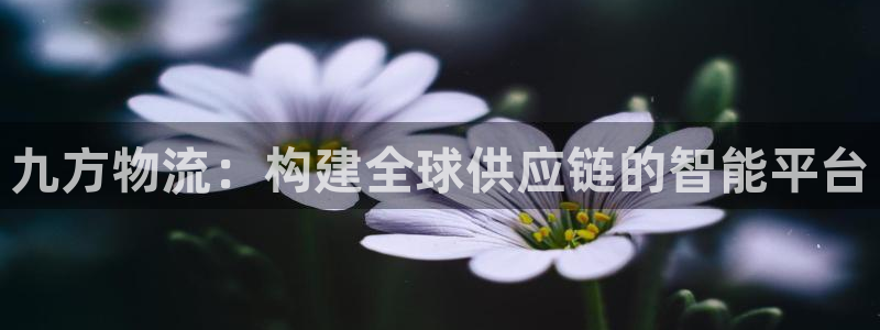 ,优游国际链接是什么