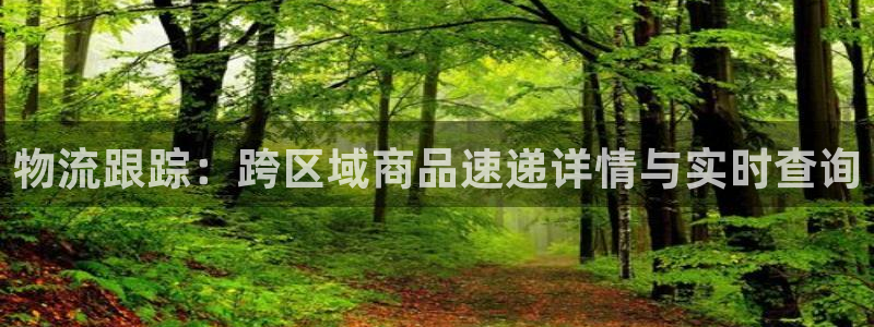 ,优游国际如何看012路计划：物流跟
