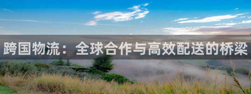 ,优游国际登录网：跨国物流：全球合作