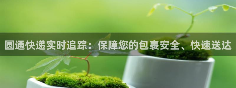 ,优游国际娱乐官网网页：圆通快递实时追踪：保障您的包裹安全、