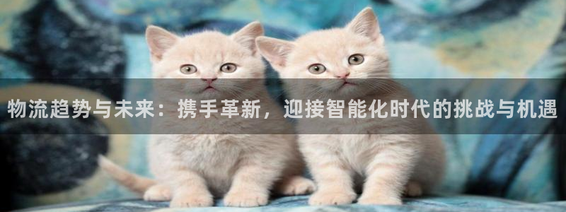 ,优游国际官网开奖结果预测查询：物流