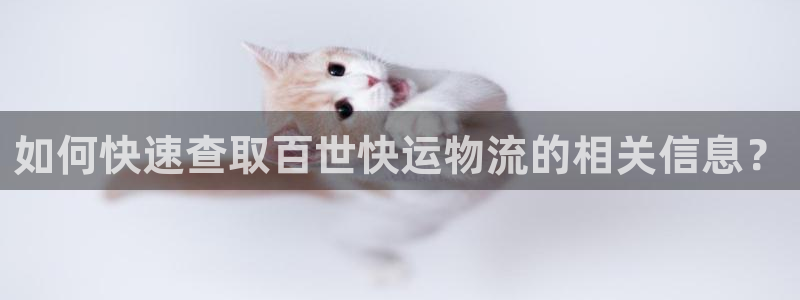 ,优游国际正规吗?：如何快速查取百世