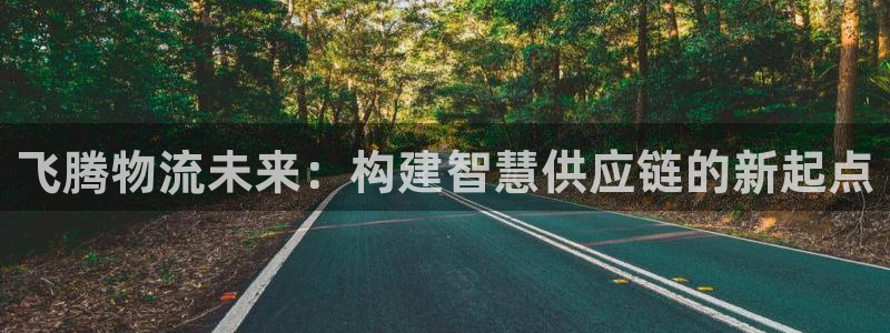 ,优游国际下分了不给钱：飞腾物流未来