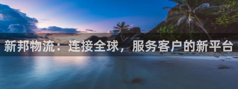 ,优游国际模拟器在线玩：新邦物流：连接全球，服务客户的新平台