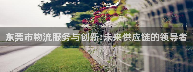 ,优游国际h5链接：东莞市物流服务与