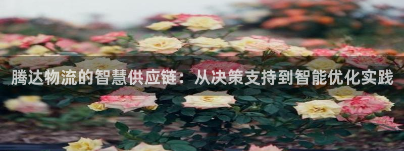 优游国际官方网站：腾达物流的智慧供应