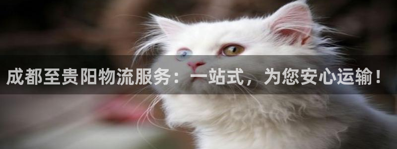 ,优游国际加拿大走势：成都至贵阳物流