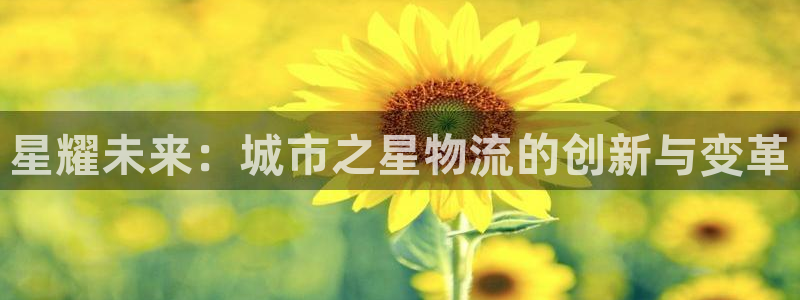 ,优游国际注册教程：星耀未来：城市之