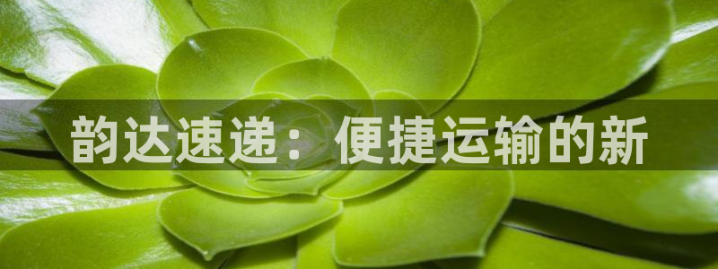 ,优游国际哪个最赚钱