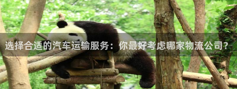 ,优游国际ccm官网版：选择合适的汽