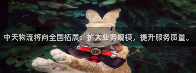 优游国际官网入口官网