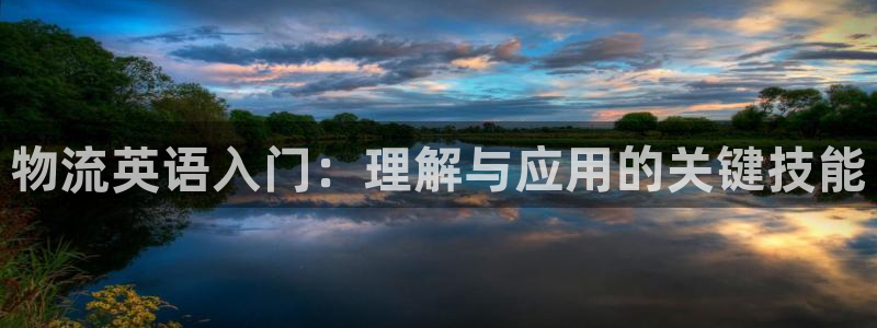 ,优游国际退款：物流英语入门：理解与应用的关键技能