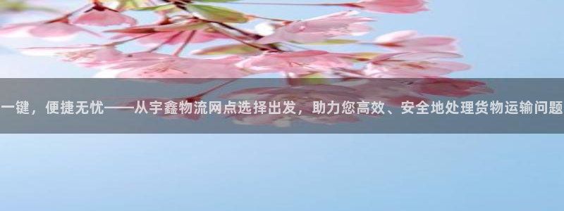 加拿大,优游国际数字规则：一键，便捷
