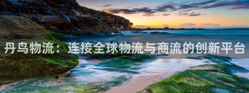 ,优游国际官网多少：丹鸟物流：连接全