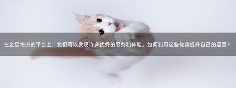 ,优游国际推广链接是多少粉丝：在金星