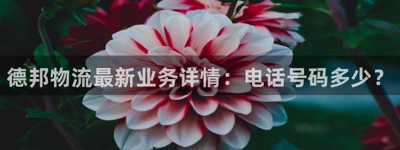 ,优游国际的平台