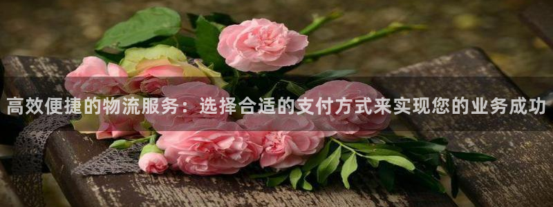 ,优游国际注册网页：高效便捷的物流服