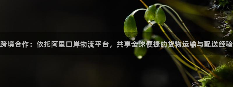 ,优游国际最稳打法：跨境合作：依托阿