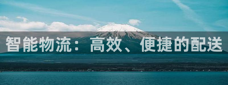 优游国际官网入口pcios：智能物流：高效、便捷的配送