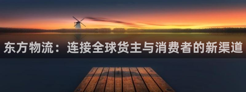 ,优游国际注册问一问：东方物流：连接