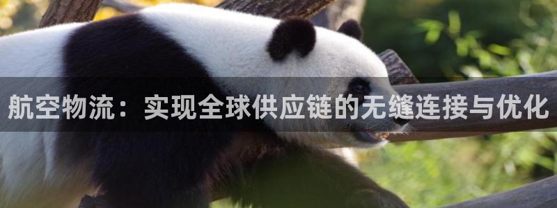 ,优游国际可以退款吗:航空物流:实现