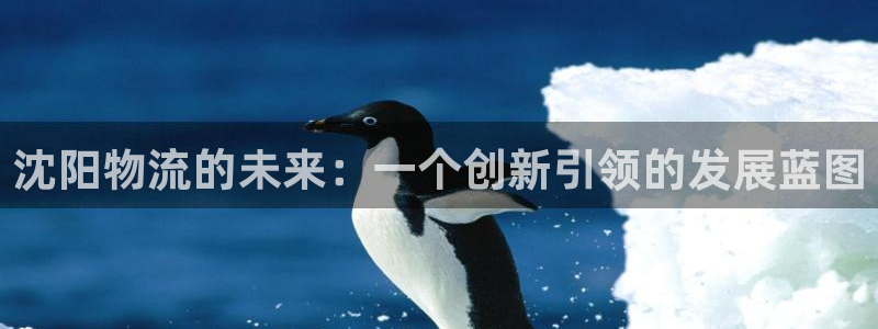 ,优游国际pg如何退钱：沈阳物流的未